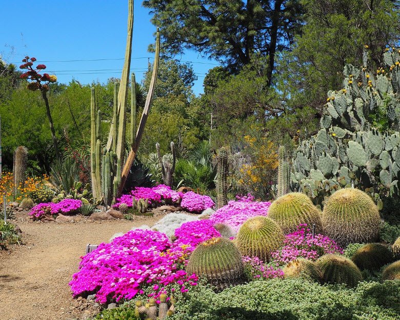 The Ruth Bancroft Garden & Nursery, United States